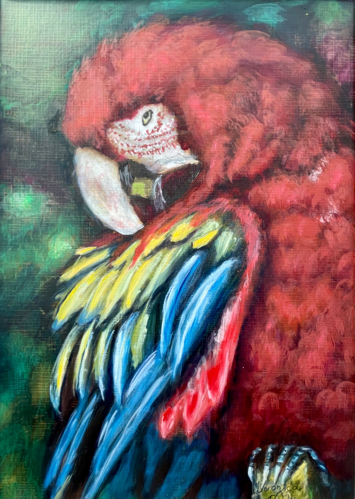 Original - Parrot