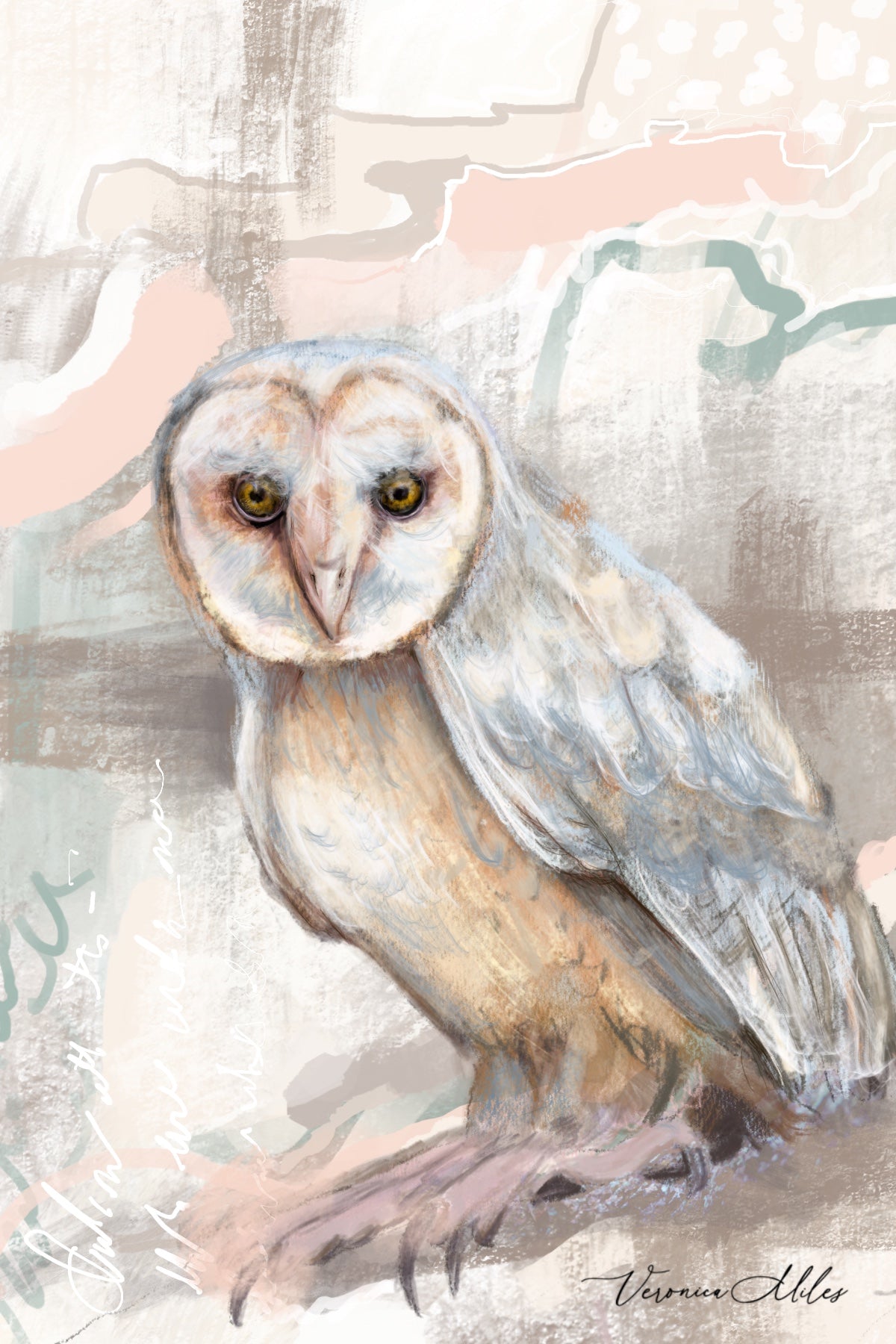 Card - Australian Barn Owl