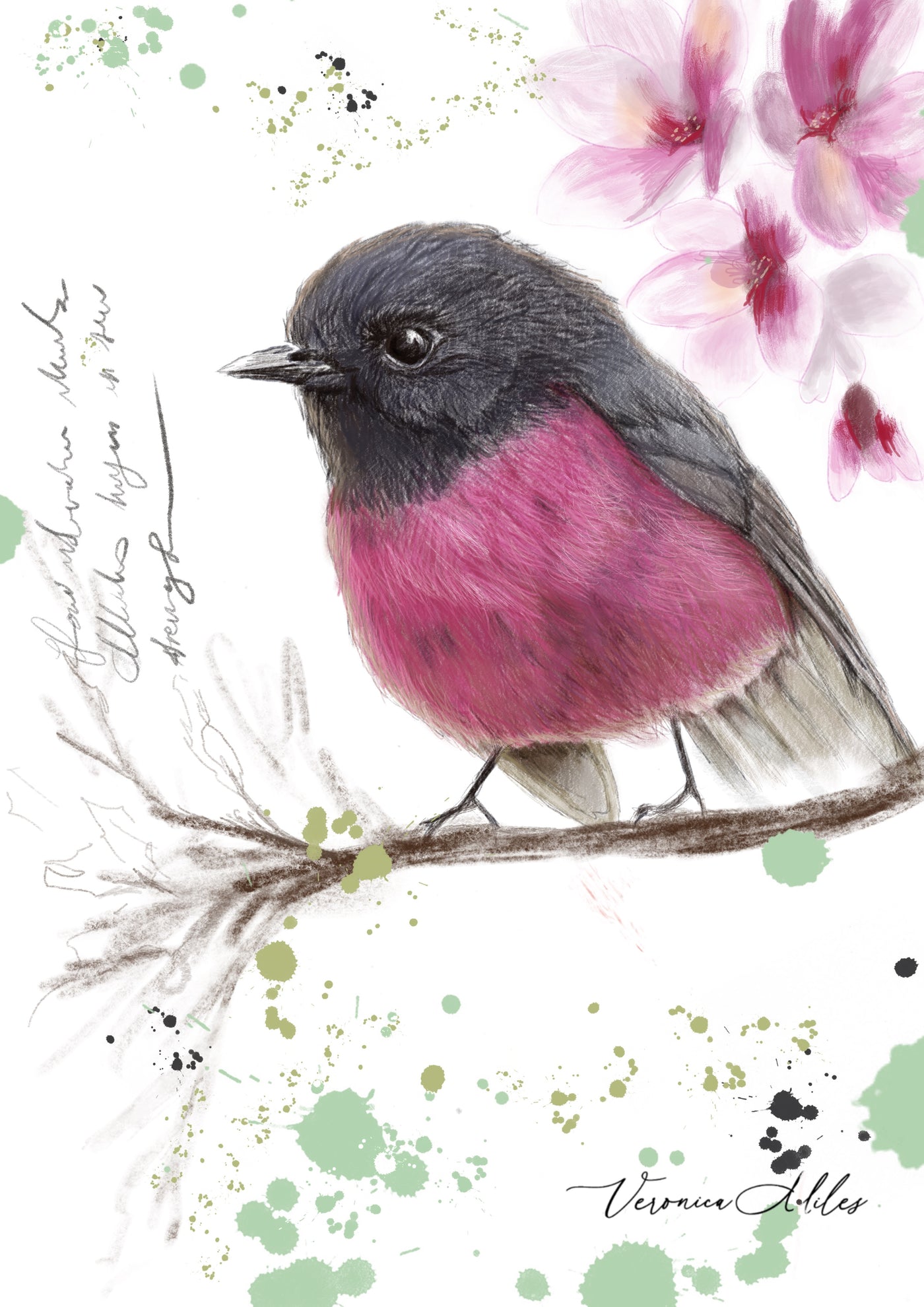 Card - Pink Robin