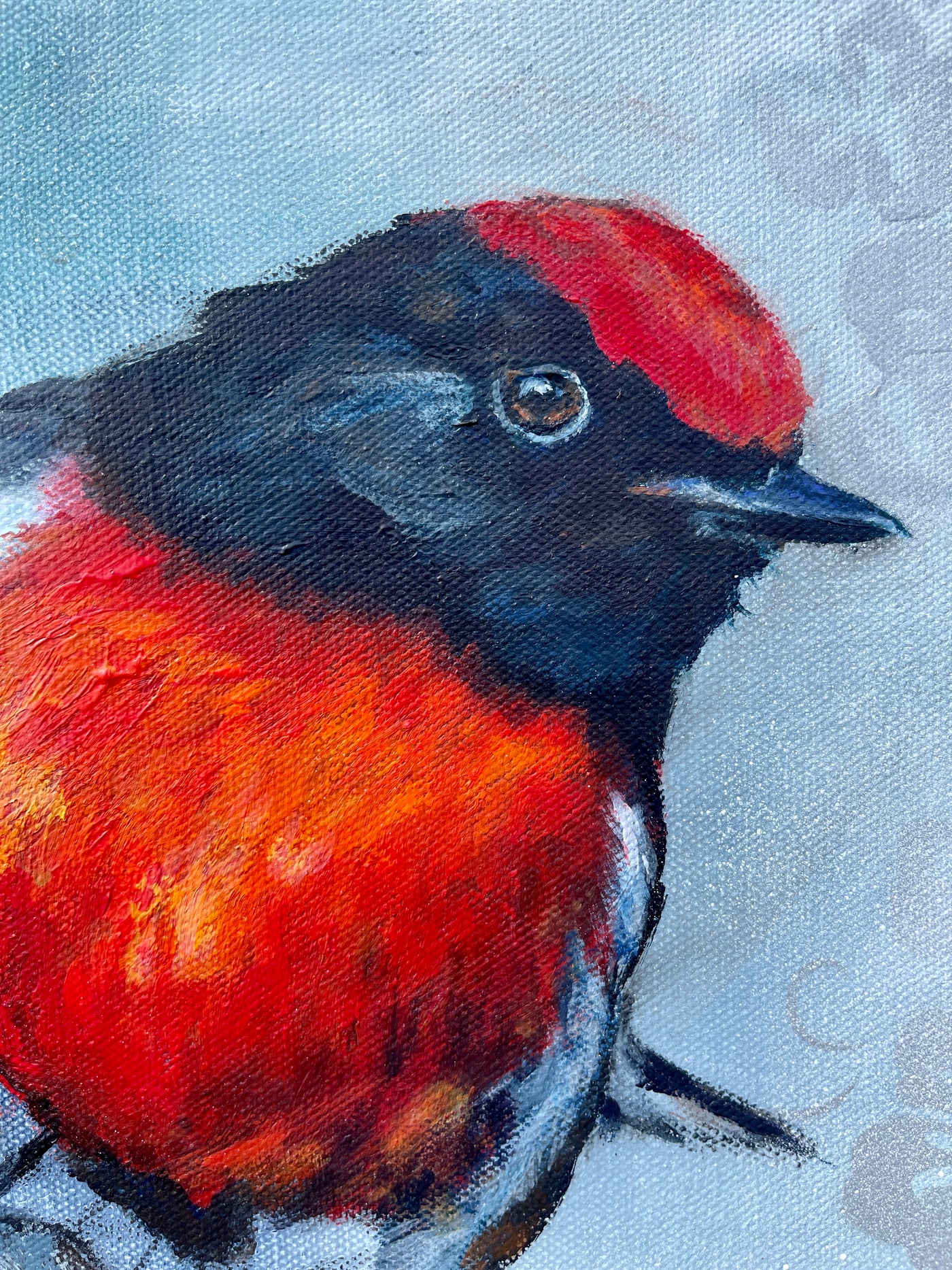 Original - Red Robin – Veronica Miles Art